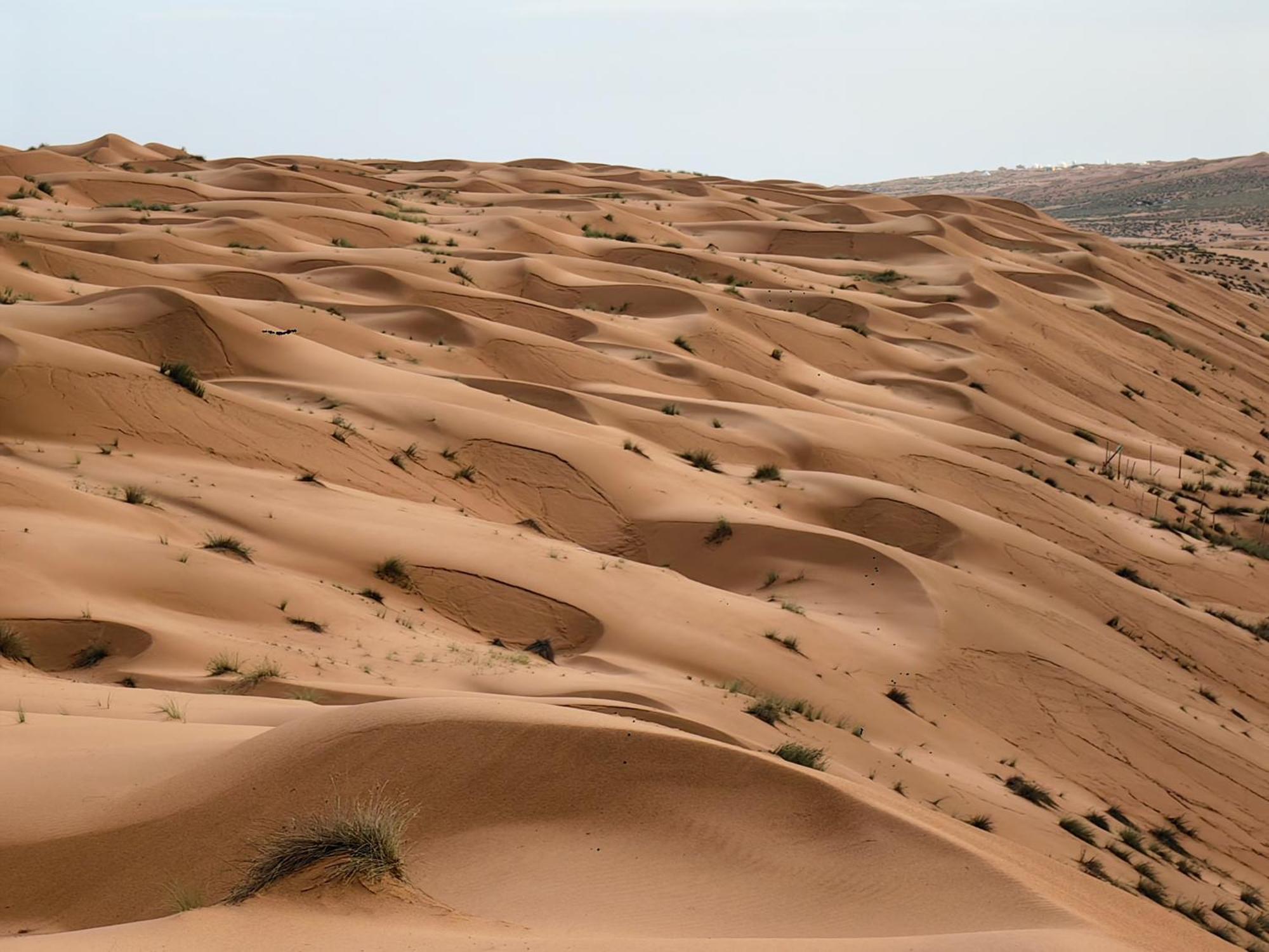 Desert Rose Camp Bidiya ภายนอก รูปภาพ